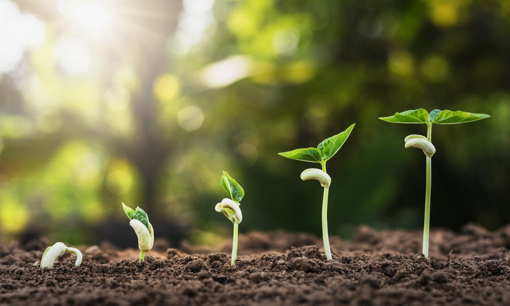 PreAngel Batch 1-4 Portfolio Companies