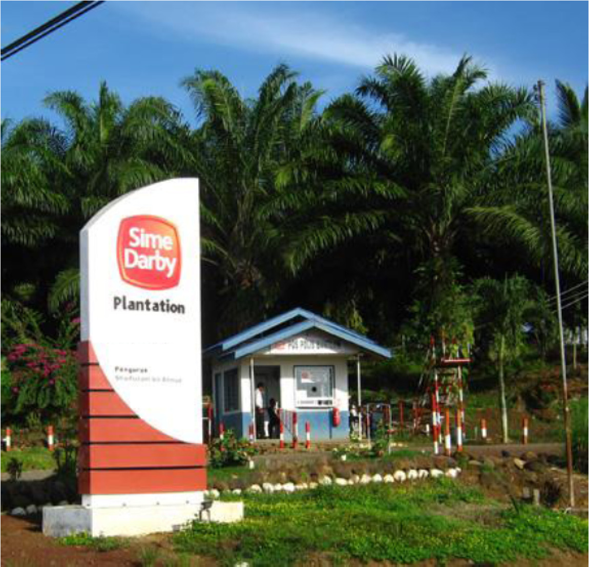 “黄金作物”——开启低空遥感大数据全新应用场景