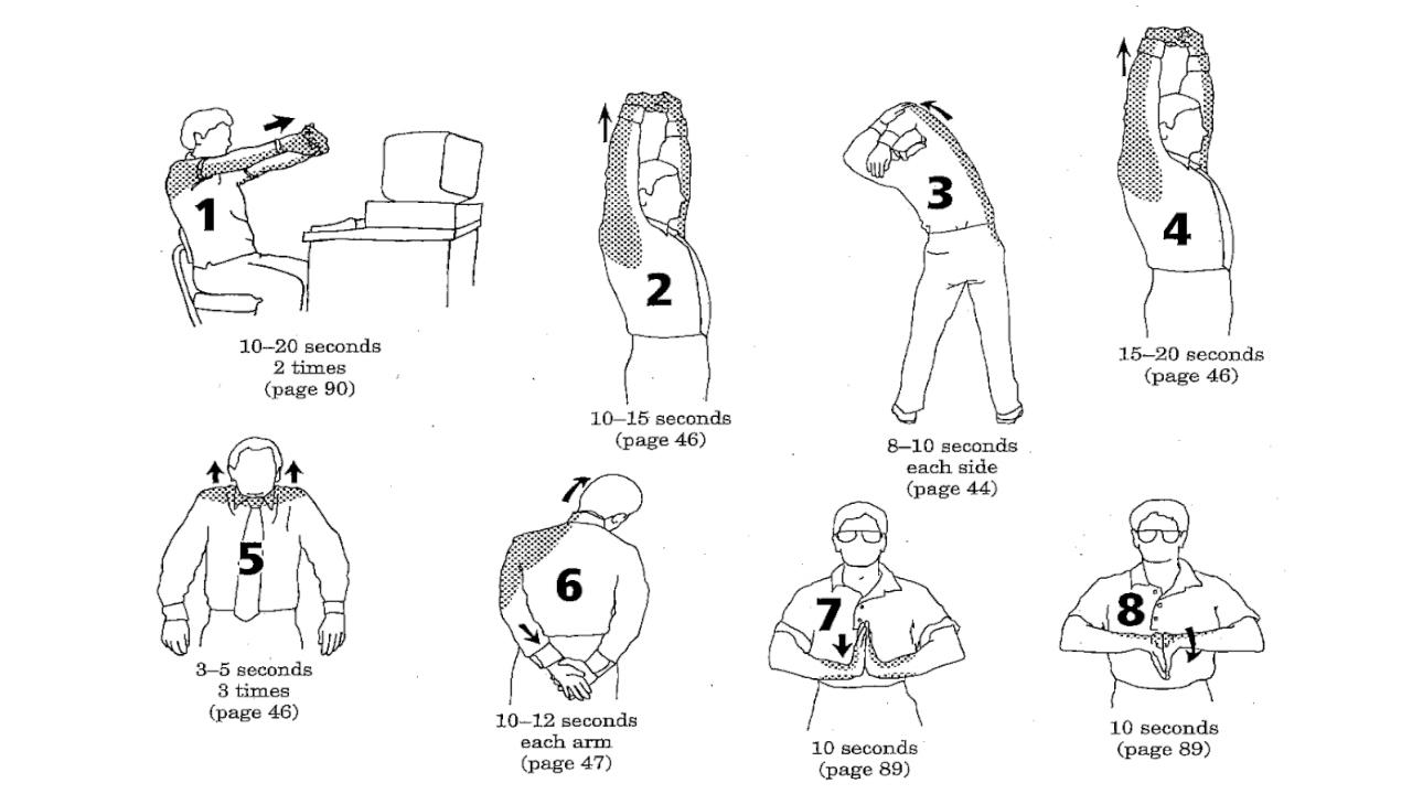 电脑办公者三分钟伸展操