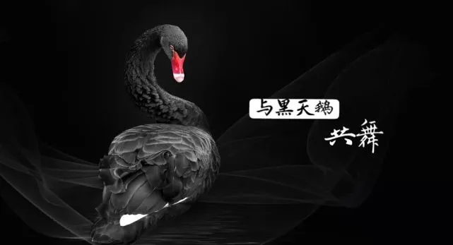 分享投资白文涛：创业公司组织单元越小，抗风险能力越大