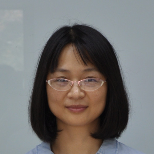 Yajuan WANG (王娅娟)